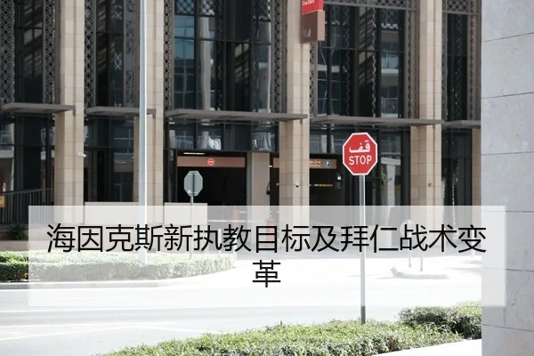 海因克斯新执教目标及拜仁战术变革